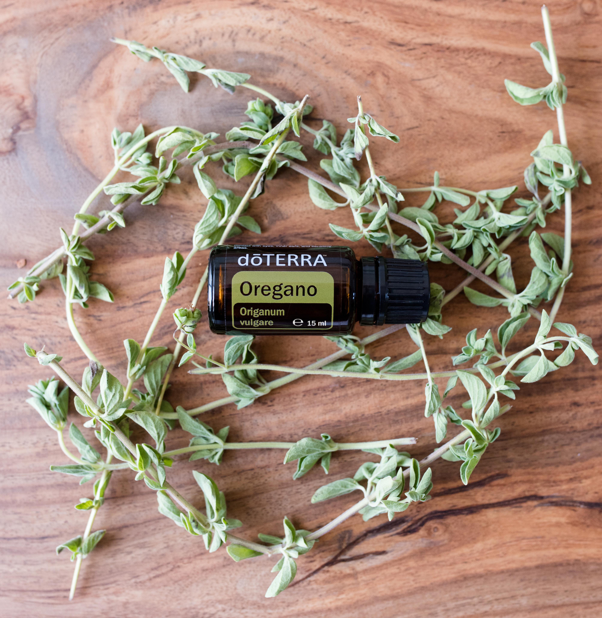 Oregano