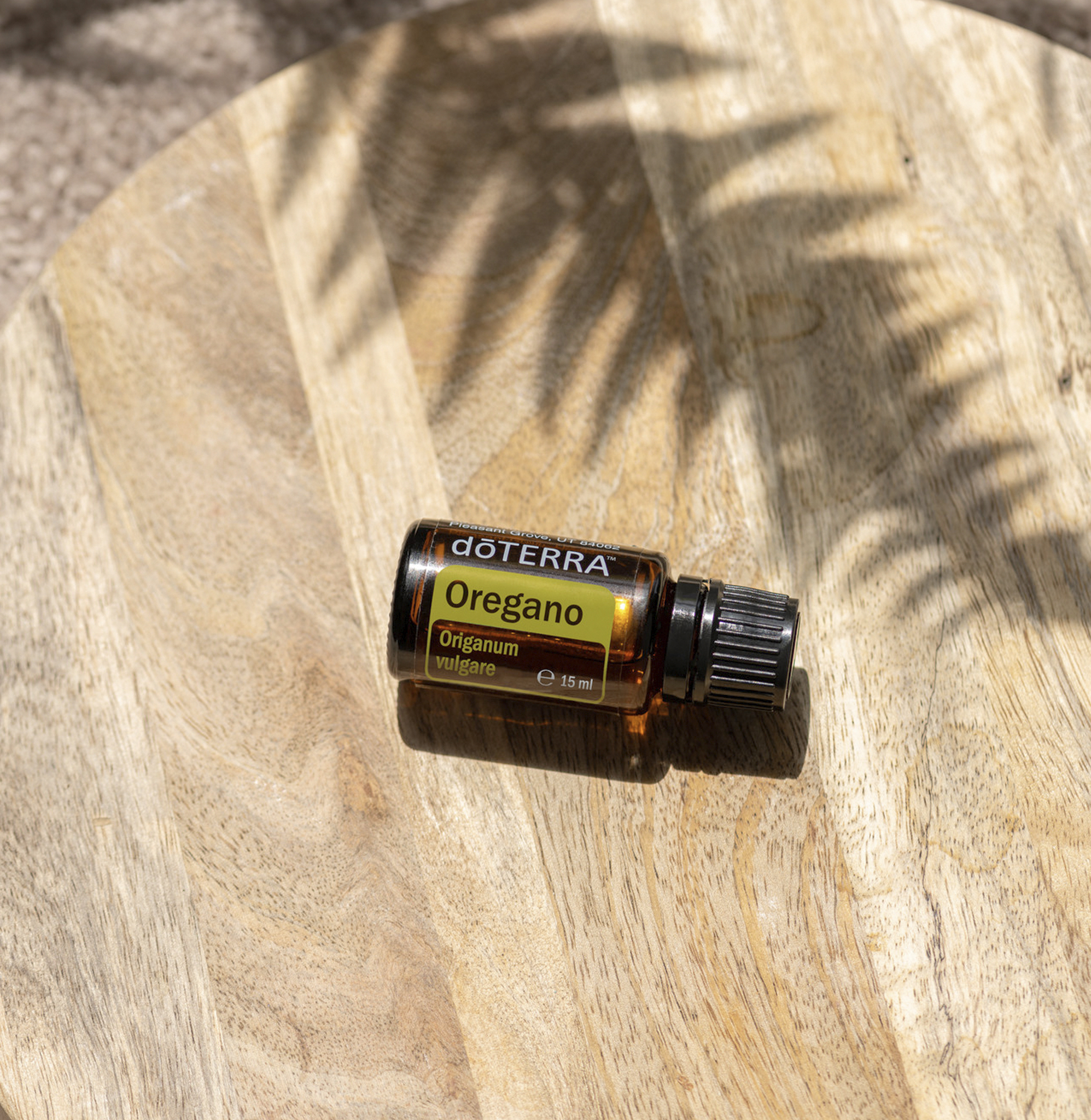 Oregano - Image 2